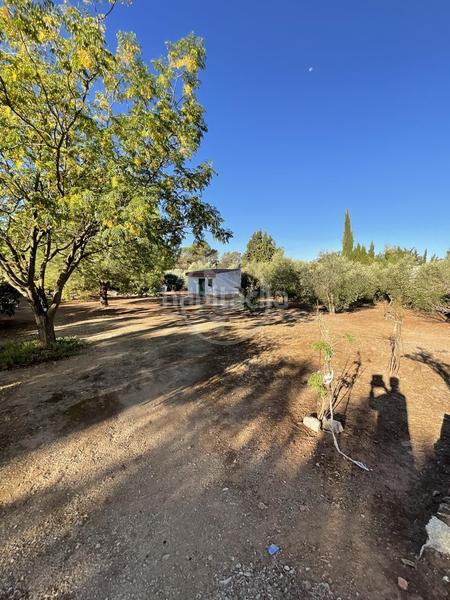 Foto 9f1ecd1c-25a2-433a-bafc-d5cff189987f. Masía se vende finca rústica. en Centro ciudad Linares