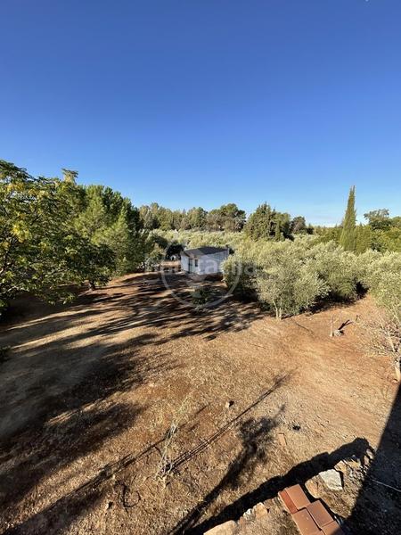 Foto ada8da2b-0570-4bc4-b879-c68c108d9cbf. Masía se vende finca rústica. en Centro ciudad Linares