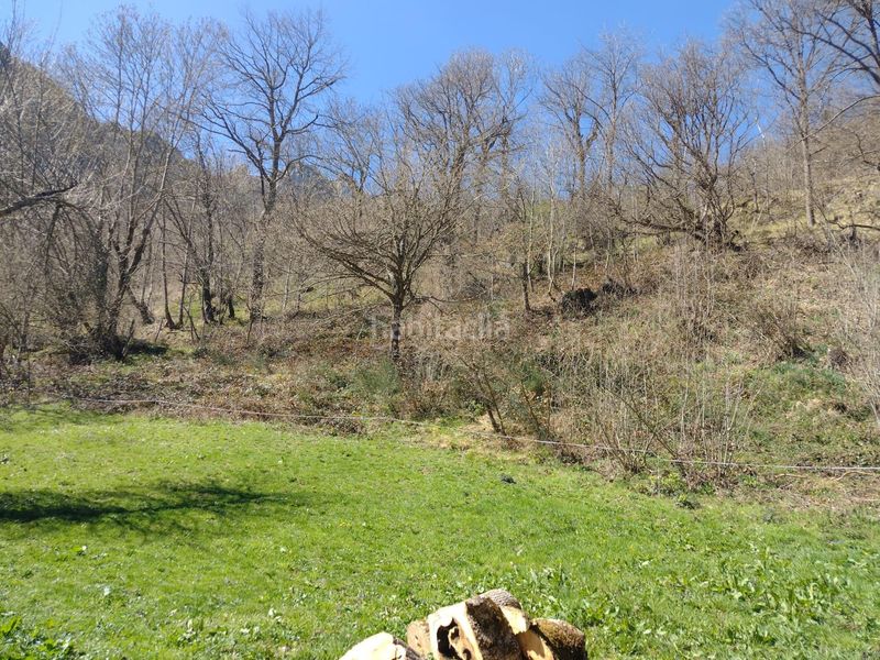 Foto fcb66544-8b37-4389-9452-80329f10acdc. Finca rústica a Vega de Liébana