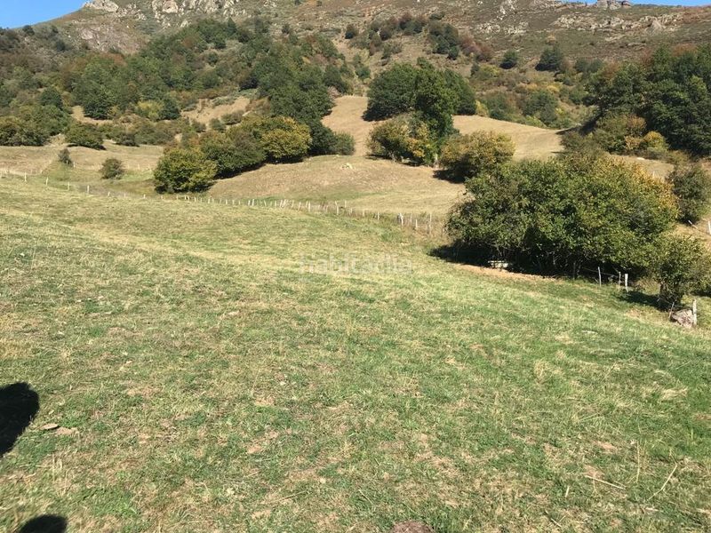 Foto 4d88ee1d-8486-41eb-9fe8-c2f8995e5c62. Finca rústica a Vega de Liébana