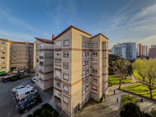 Pis  Paseo paseo de altamira. Piso grupo san francisco  paseo altamira