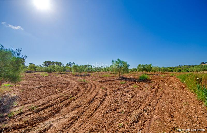 Foto 2a2f56e4-7462-4be3-b858-9eb097923bd7. Terreno residencial terreno edificable con pozo legal en Manacor