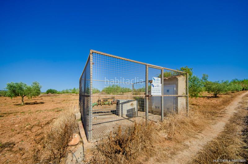 Foto 42f01b2c-66d3-4cad-a804-d668f00a9fad. Terreno residencial terreno edificable con pozo legal en Manacor