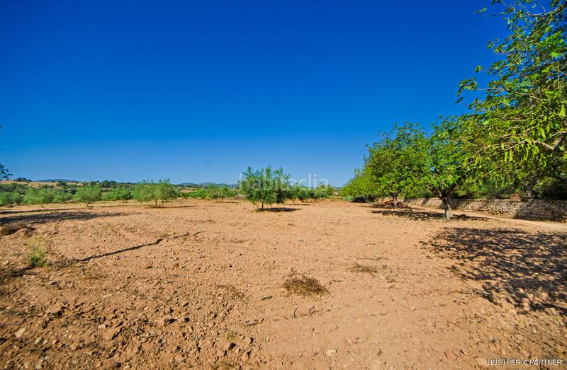 Foto 64739117-c075-4e39-b560-d5eaa1a78812. Terreno residencial terreno edificable con pozo legal en Manacor