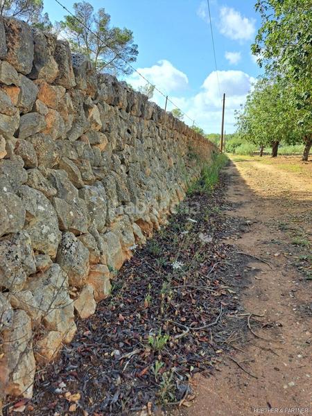 Foto 7958bbe8-25f1-4082-b804-39dcff9aca39. Terreno residencial terreno edificable con pozo legal en Manacor