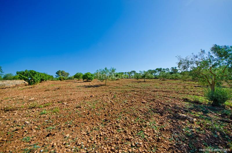 Foto 8fc67d43-b563-4314-8f3e-a39484f15b16. Terreno residencial terreno edificable con pozo legal en Manacor