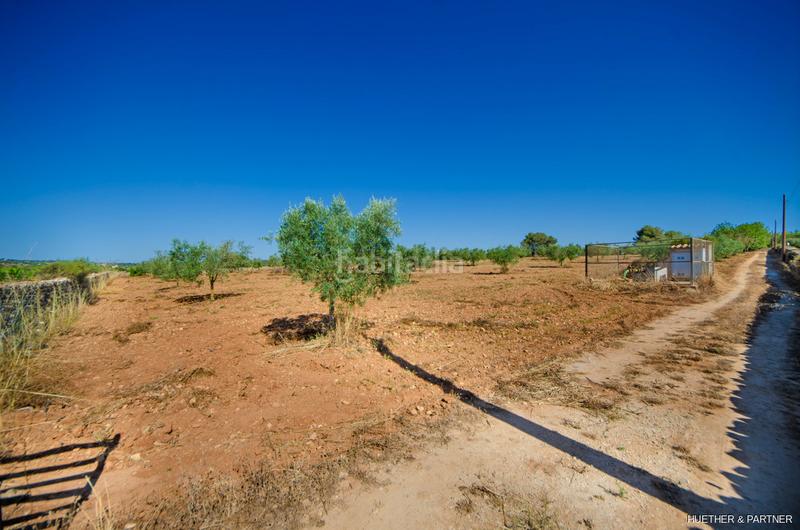 Foto ff84d56d-d512-447b-a3e9-1870c4c606aa. Terreno residencial terreno edificable con pozo legal en Manacor