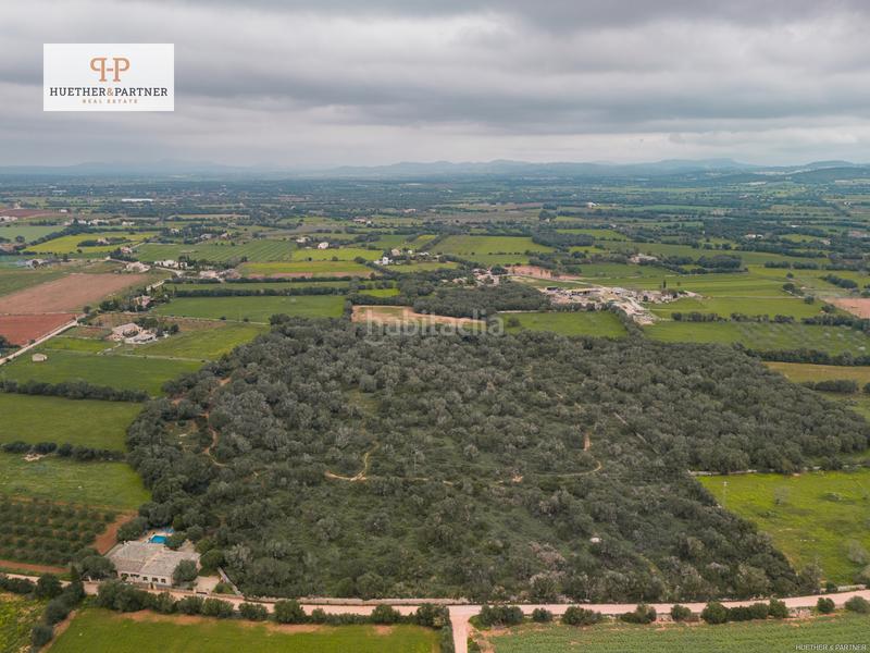 Foto c8ed6514-5b1c-4e81-94bd-12a772b14747. Terreny residencial a Felanitx poble Felanitx