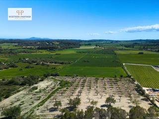 Residential Plot in Montuïri