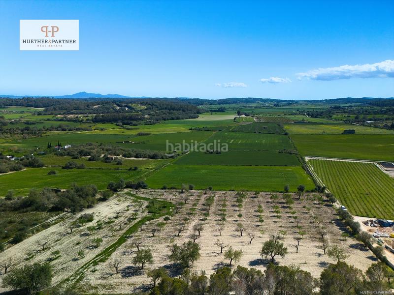 Foto 3f911f54-4333-4f46-aa4b-6b12422f8607. Terreny residencial a Montuïri