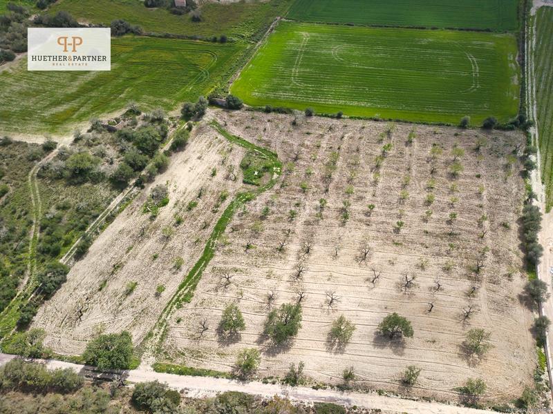 Foto 8bf6e0ab-7f91-4a13-ba06-edb43d4b4bb5. Terreny residencial a Montuïri