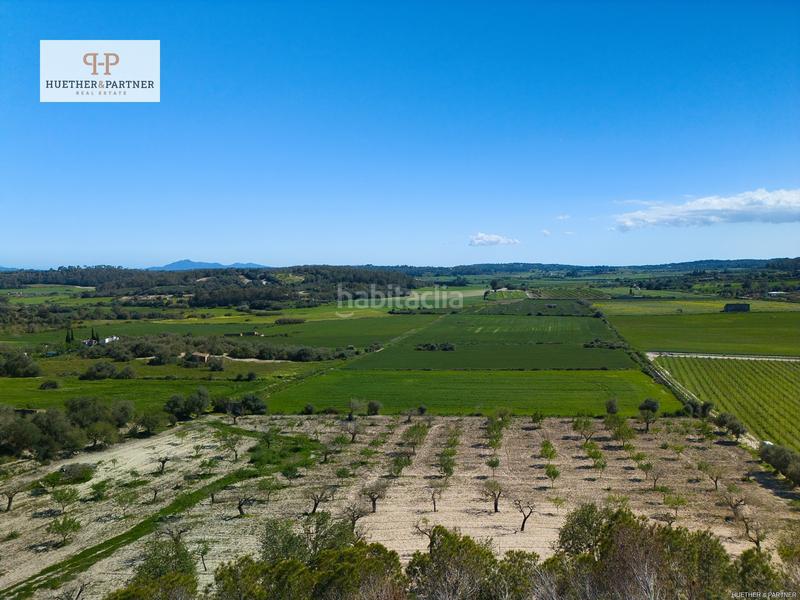 Foto 917e3eb8-813f-4182-9f6c-63d60afd7592. Terreny residencial a Montuïri