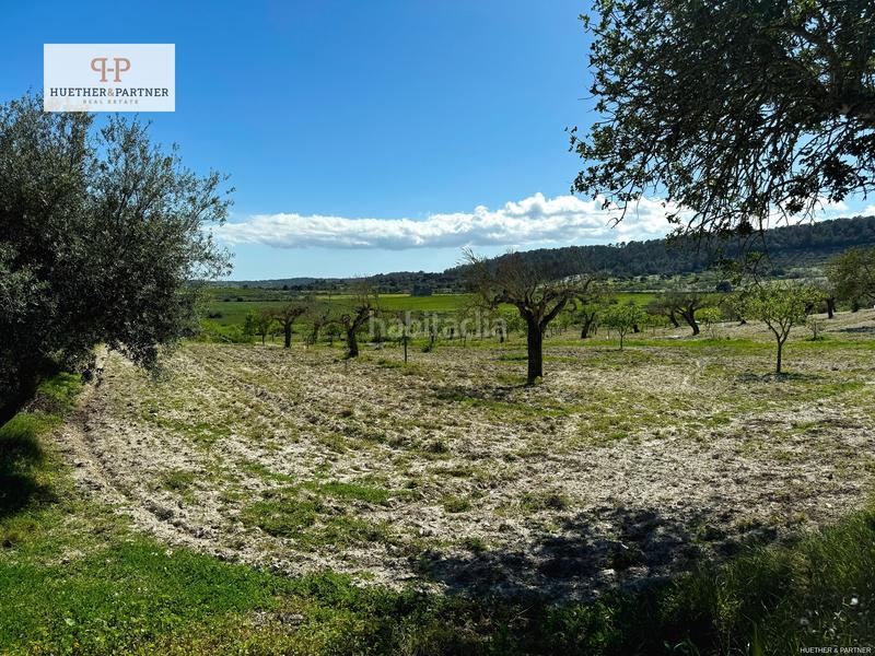 Foto c6b5e1e9-1afa-41d3-9941-1957dd1418ed. Terreny residencial a Montuïri