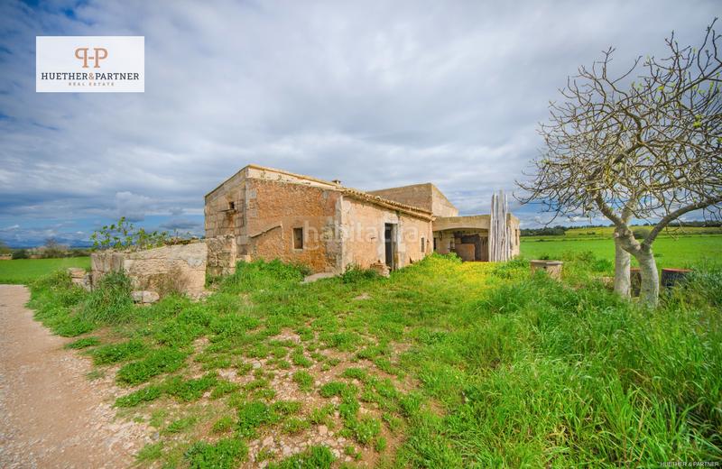 Foto 8225db3d-88d3-4626-82e0-d0f294a84fc7. Bauernhof in Manacor centre Manacor