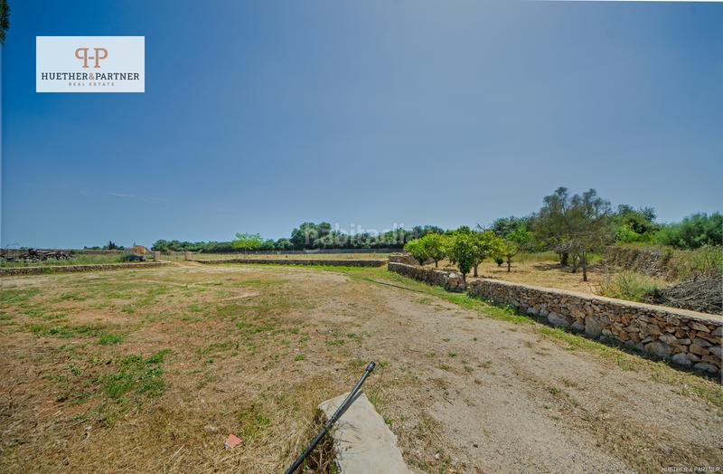 Foto 0f66092a-3ee4-431c-b42b-b0e0bfe44cde. Terrain résidentiel dans Santa Margalida poble Santa Margalida