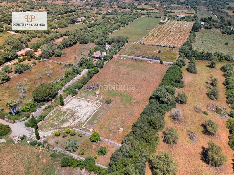 Foto 6e6c6a6a-008d-430b-a877-79e0a69b0759. Terrain résidentiel dans Santa Margalida poble Santa Margalida