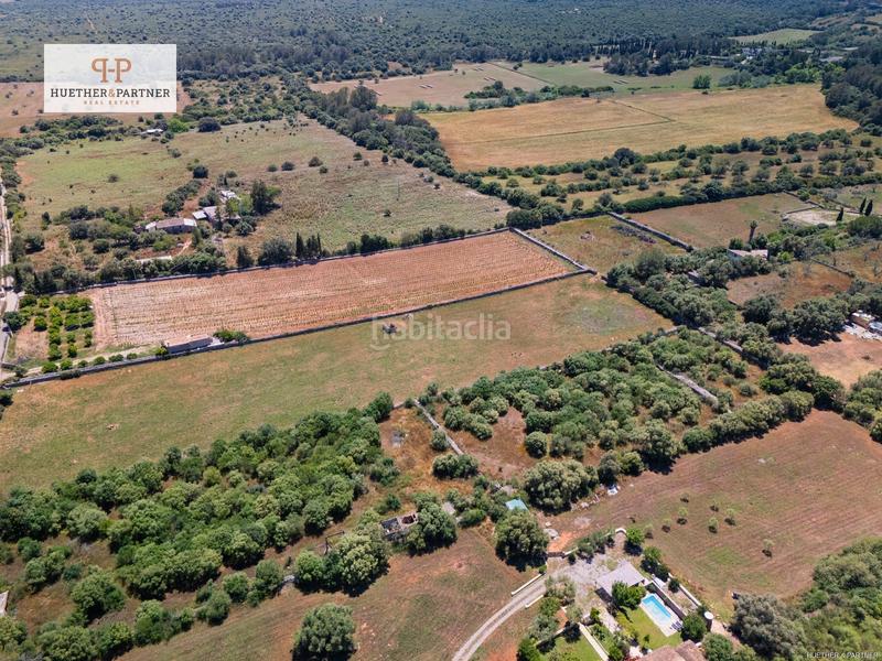 Foto 73a5c434-8ab1-4d8c-8097-05aa1b0ba98c. Terrain résidentiel dans Santa Margalida poble Santa Margalida