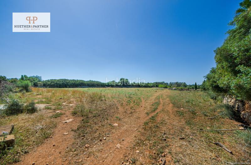 Foto 88d1e7b2-952f-4199-93f0-fa8e964cc29e. Terrain résidentiel dans Santa Margalida poble Santa Margalida