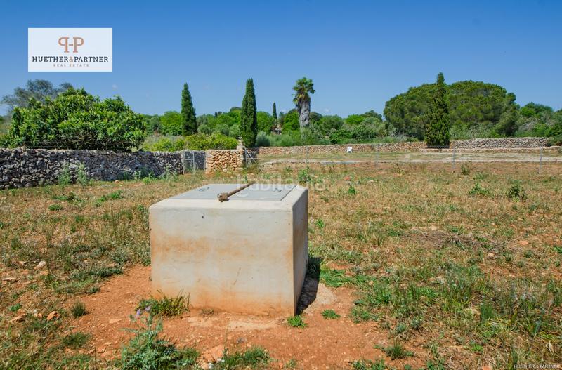 Foto 9a5eb391-2bef-440c-a6f9-6f13ab20908b. Terrain résidentiel dans Santa Margalida poble Santa Margalida