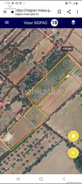 Foto c7204356-b34e-484b-bb60-a9ca406a27c7. Terrain résidentiel dans Santa Margalida poble Santa Margalida