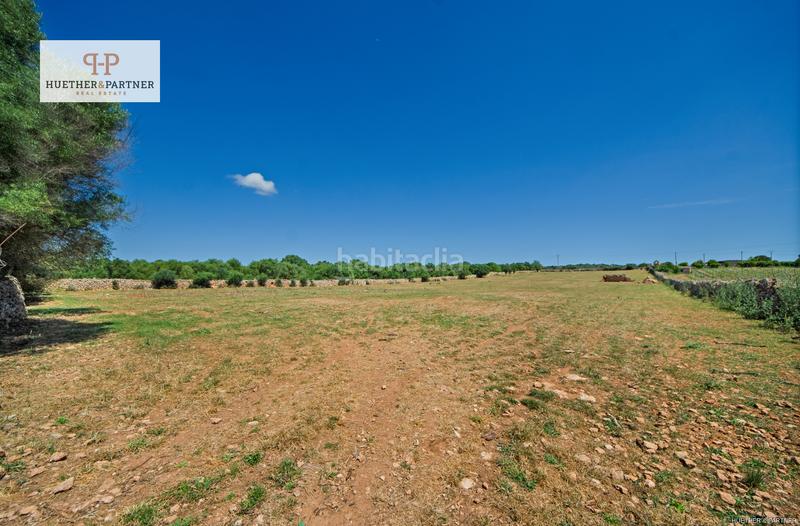 Foto eb48406f-4c19-4fa6-93b9-d595163eecb4. Terrain résidentiel dans Santa Margalida poble Santa Margalida