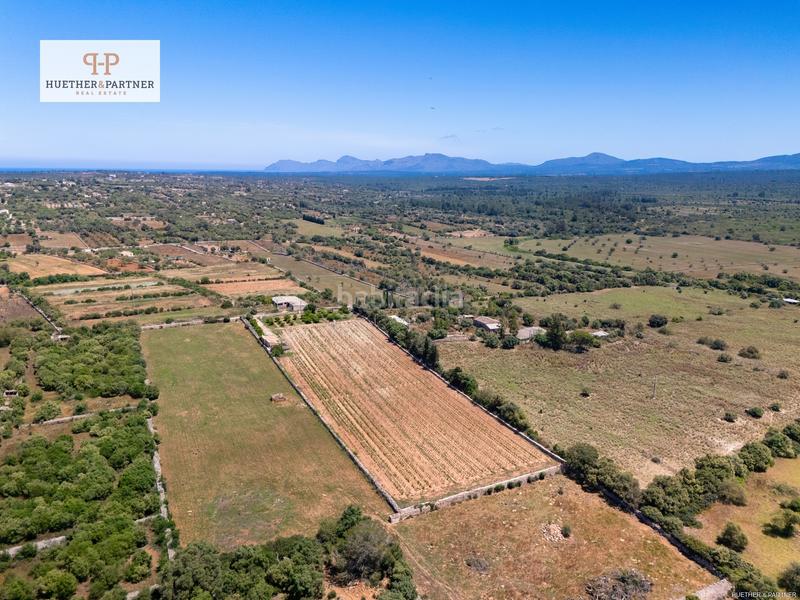 Foto f79ffa6e-afde-4358-a217-dbec5855aef9. Terrain résidentiel dans Santa Margalida poble Santa Margalida