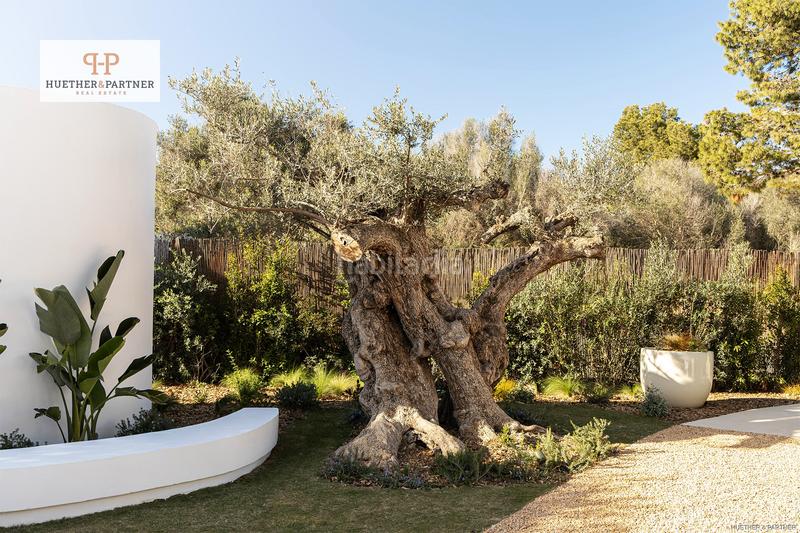 Foto cccb19de-3c8c-4032-9513-8058d294cfd8. Piso ático de lujo exclusivo refugio de nueva construcción sobre los tejados de ibiza en Sant Antoni de Portmany