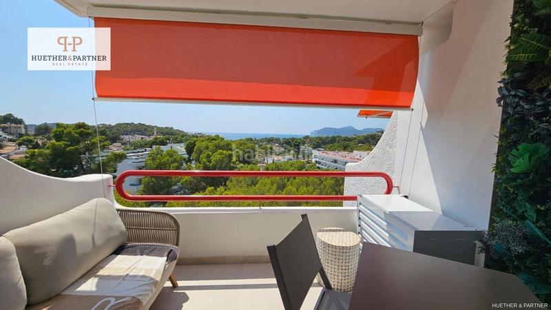 Foto 55aa405d-2564-4c9e-af4b-679a99dd9350. Pis a Calvià poble Calvià