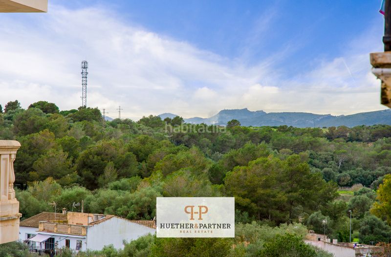 Foto 0e6a858a-0a6b-40d9-91ff-a8bed54ea1d2. Pis a Porto Cristo Manacor