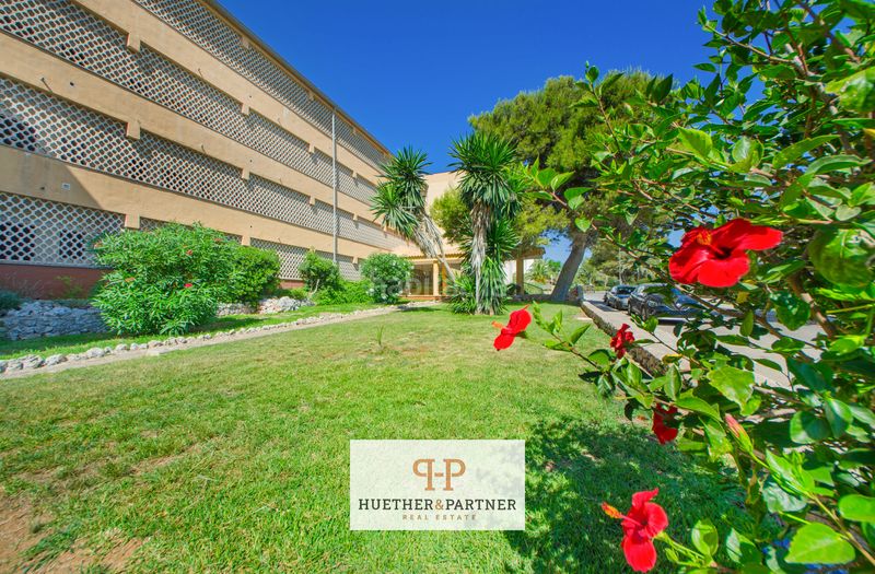 Foto 68c3834a-afb9-4062-a077-64f6ddbbf316. Pis a Cala Magrana-Cala Anguila-Cala Mendia Manacor