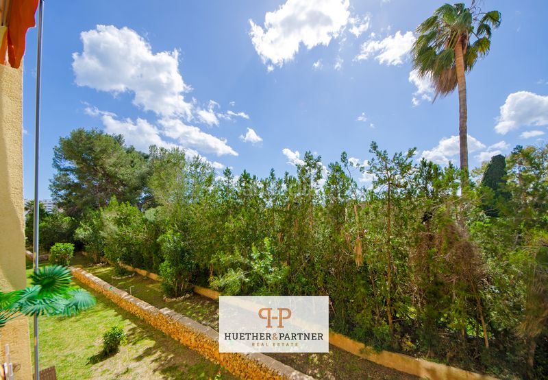 Foto 98a04624-f8ed-483e-bb2e-c215fec7f099. Pis a Cala Magrana-Cala Anguila-Cala Mendia Manacor