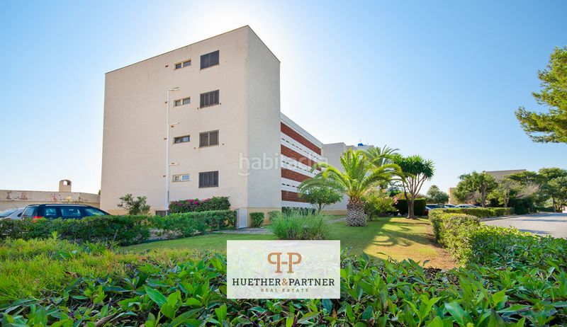Foto 754fe103-91ee-49d9-944a-e0d6ed274359. Pis a Cales de Mallorca Manacor