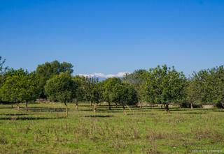 Terrain résidentiel à Manacor Centre. Terreno con vistas panoramicas para construir una casa unifamili