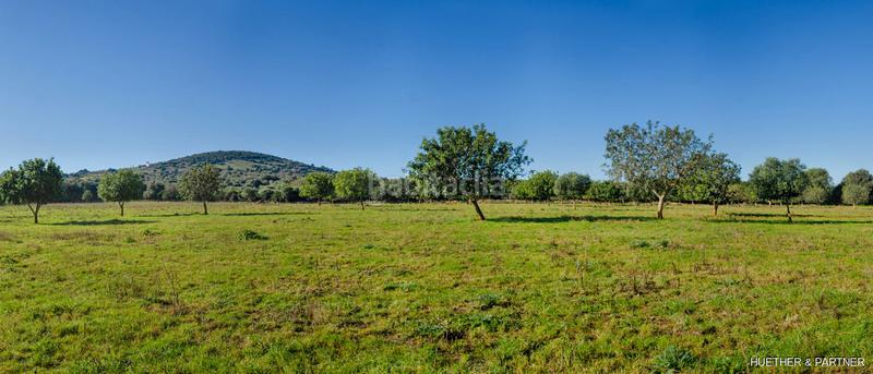 Foto 5bd685c5-5bb7-4f75-bf2a-b0751d5b6c38. Terreno residenziale in Manacor centre Manacor