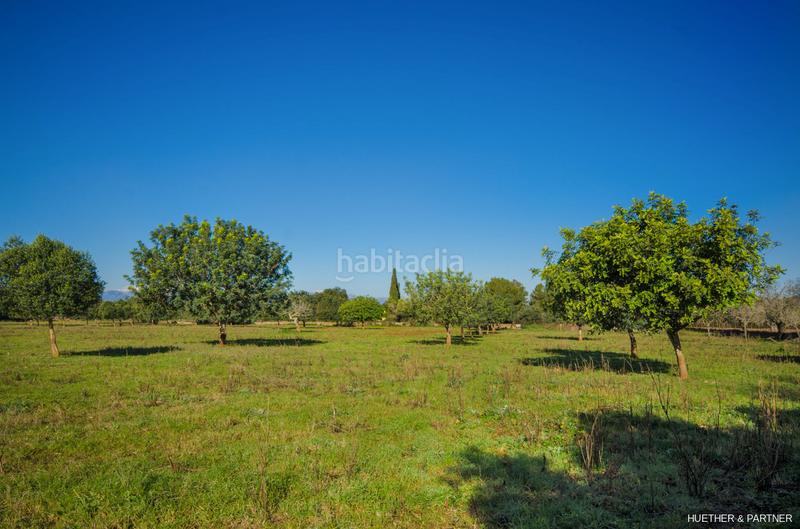 Foto 7afa03d9-0e74-4e9b-823f-70faf55b7e71. Terreno residenziale in Manacor centre Manacor