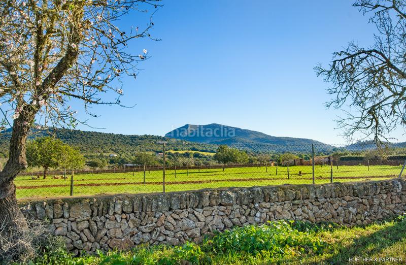 Foto 8348c9eb-0cdf-4012-8fb9-1ba60fdc5d0b. Terreno residenziale in Manacor centre Manacor