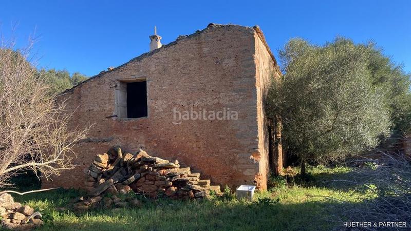 Foto a7e05565-b6b6-43bd-8091-3b2b36ed67e0. Terreno residenziale in Manacor centre Manacor