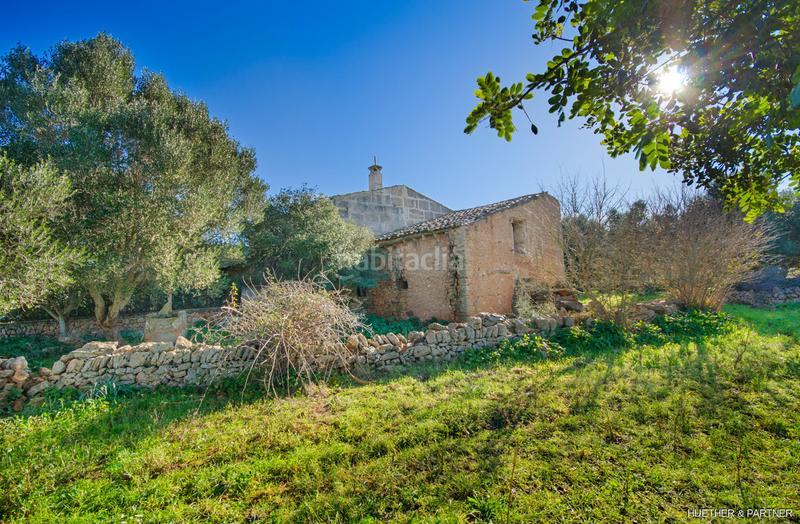 Foto d34cc362-5185-49f2-8d19-461570d22b8e. Terreno residenziale in Manacor centre Manacor