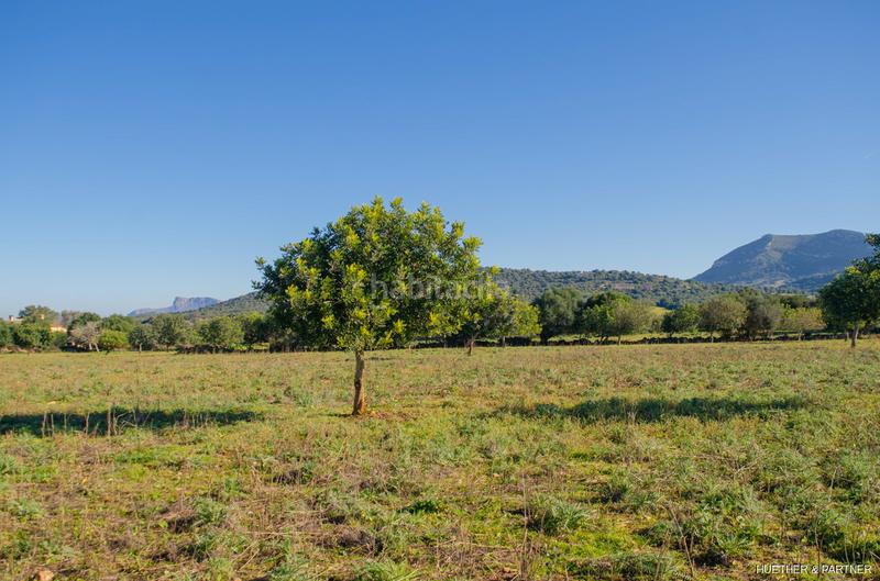 Foto ee8790a4-1e2a-470a-a83b-d2ed05adfc63. Terreno residenziale in Manacor centre Manacor