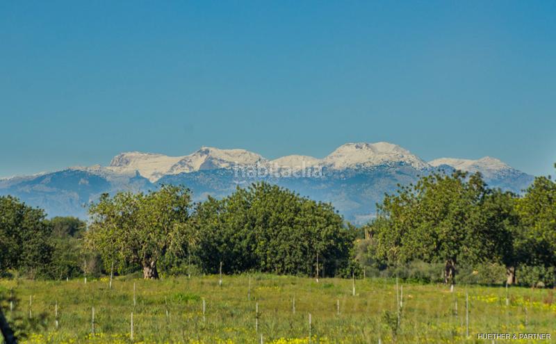 Foto f40fbd60-fc03-47e6-ac96-5b674573635f. Terreno residenziale in Manacor centre Manacor