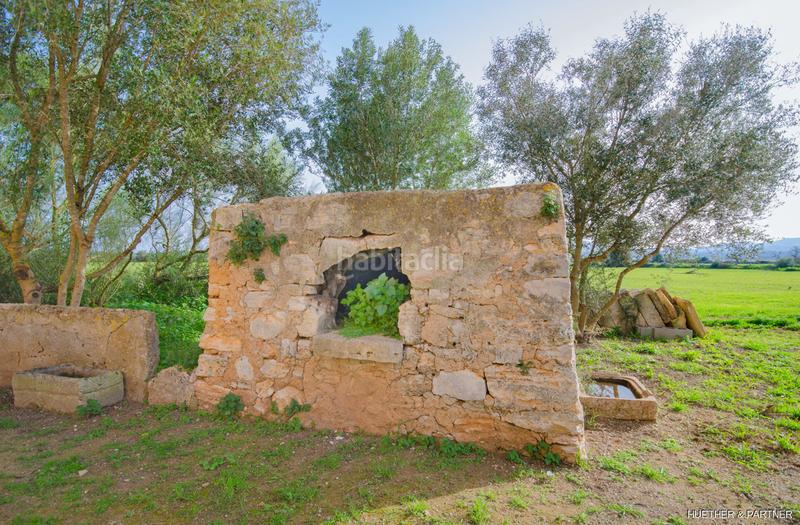 Foto 98d32009-2f1b-48c3-826b-6799b9a9c8d7. Terreny residencial a Manacor centre Manacor