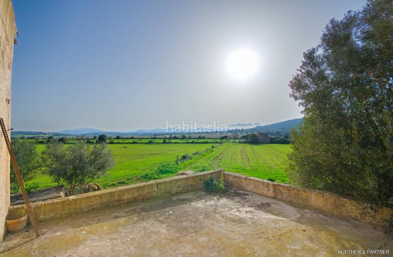 Foto c09baf7f-fd21-4fff-af4d-98b1725c3e4e. Terreny residencial a Manacor centre Manacor