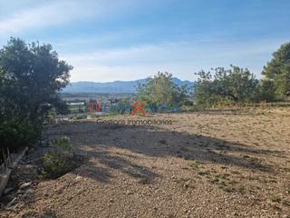 Chalet  Avinguda del jap. Chalet campred