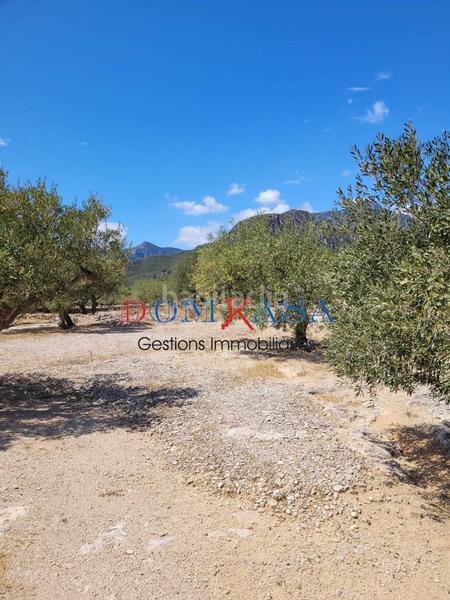 Foto 2c052ca7-fe8f-4f1e-83a4-119b23182314. Terreny residencial a Roquetes