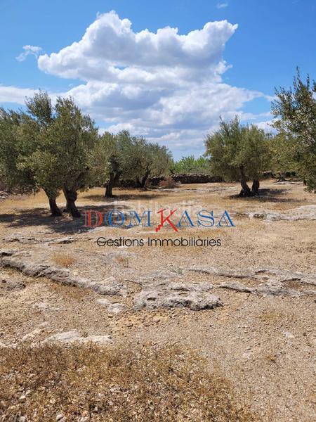 Foto 9e704186-16d3-4a10-90ee-aacf454805df. Terreny residencial a Roquetes