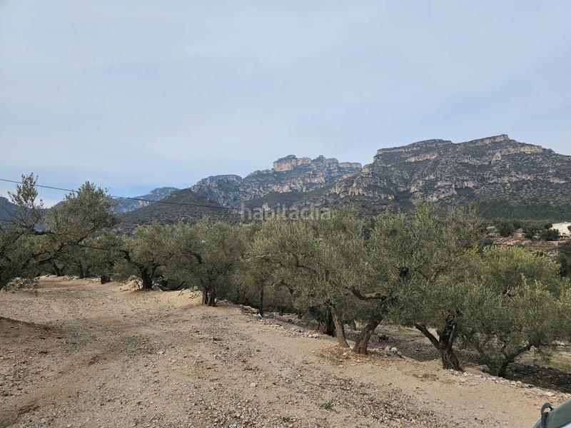 Foto 059fd33a-7263-40b7-82eb-b5096b4ed038. Finca rústica terreno agrícola con una pequeña casa en Roquetes