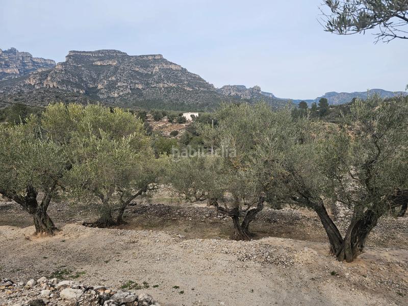 Foto 09bd4dd7-2282-4db9-99d1-ec1f66bad028. Finca rústica terreno agrícola con una pequeña casa en Roquetes