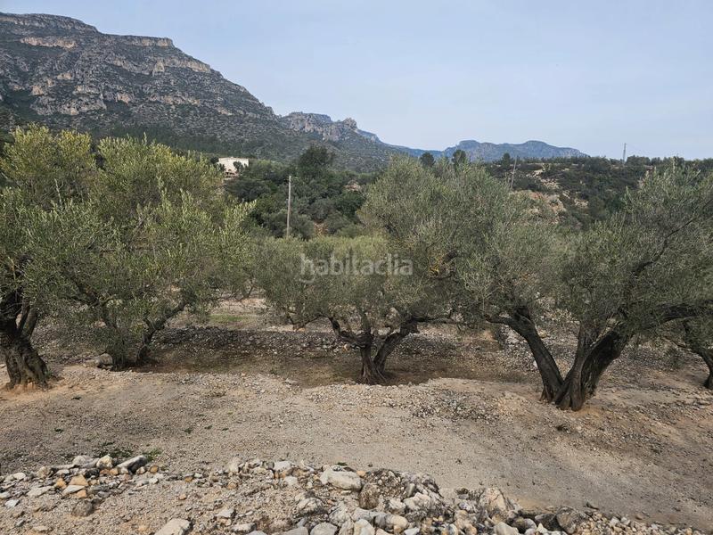 Foto 0e58bd0c-33bd-4b63-ad09-38631a01317b. Finca rústica terreno agrícola con una pequeña casa en Roquetes
