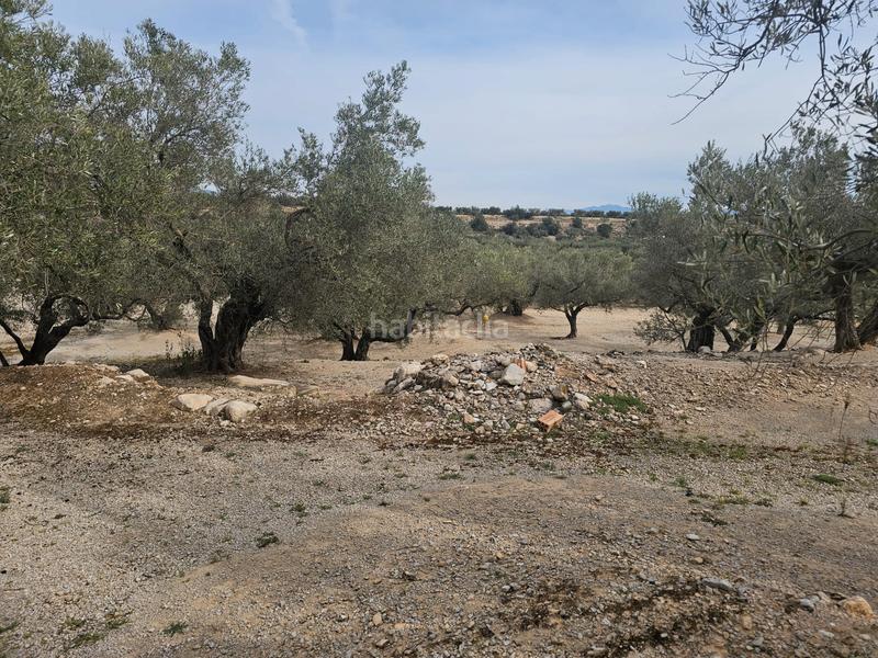 Foto 3ec7b814-b511-48e0-b270-bb7427620b61. Finca rústica terreno agrícola con una pequeña casa en Roquetes
