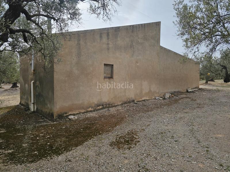 Foto 7a95c8e1-1ee6-4ce3-b09b-46958d3de068. Finca rústica terreno agrícola con una pequeña casa en Roquetes